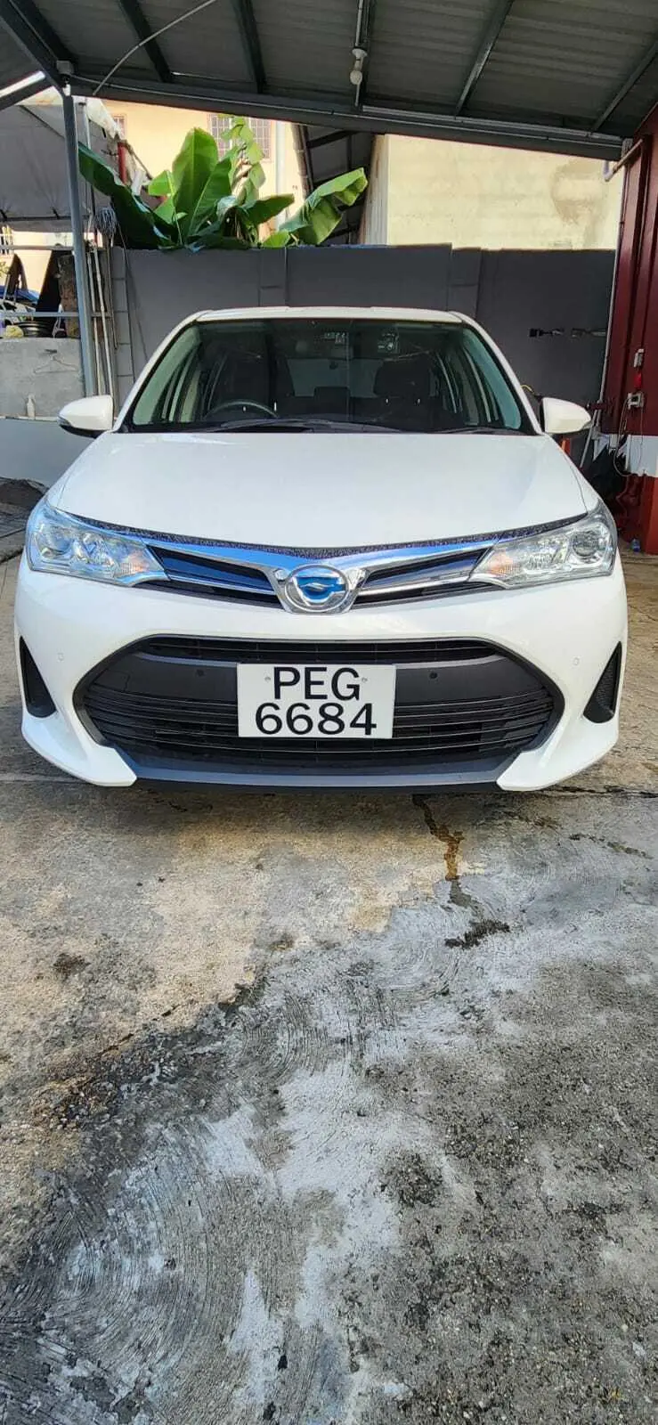 TOYOTA Corolla Fielder